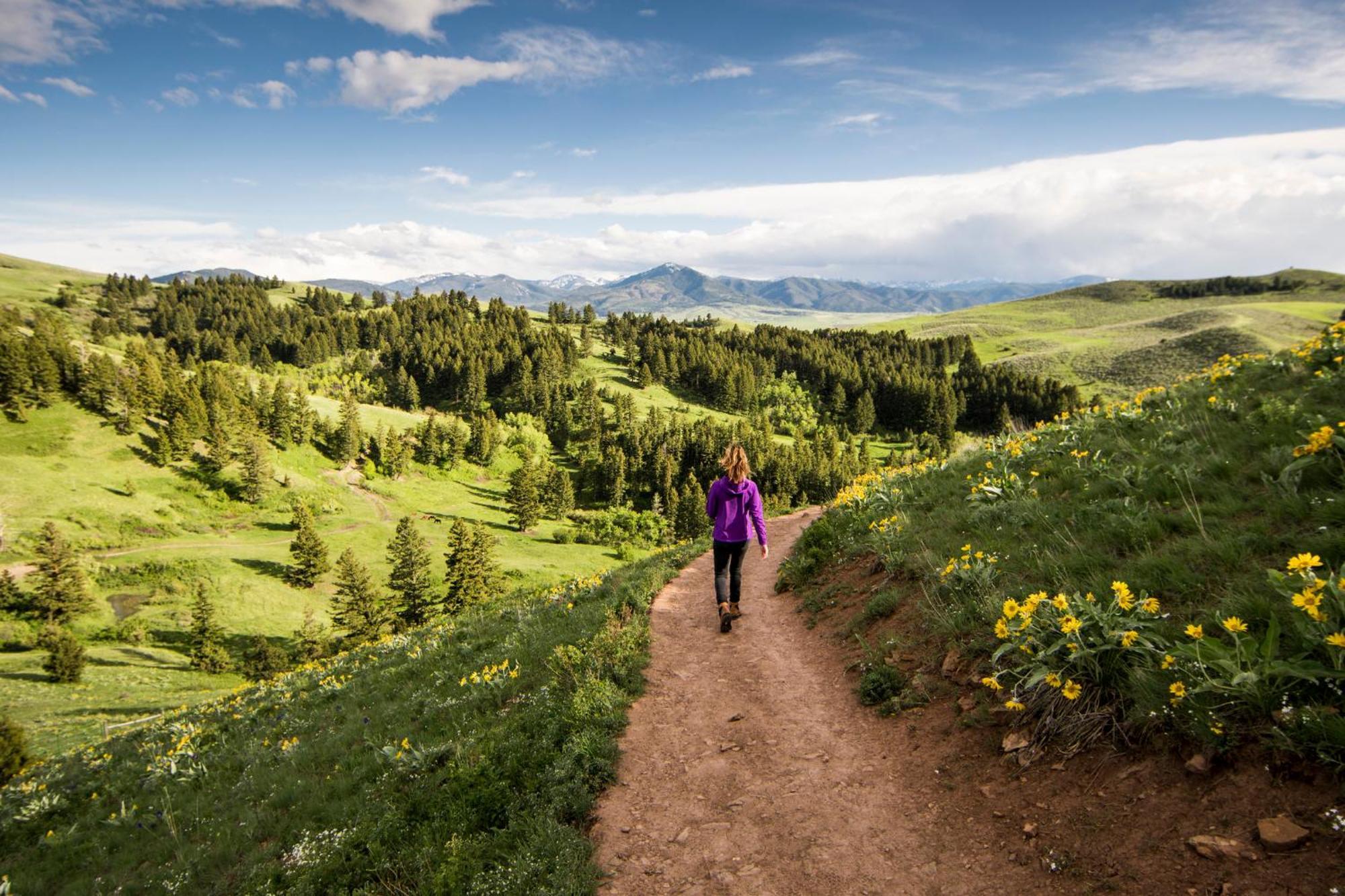 Even Hotel Bozeman Yellowstone Intl Arpt By Ihg Белград Екстер'єр фото